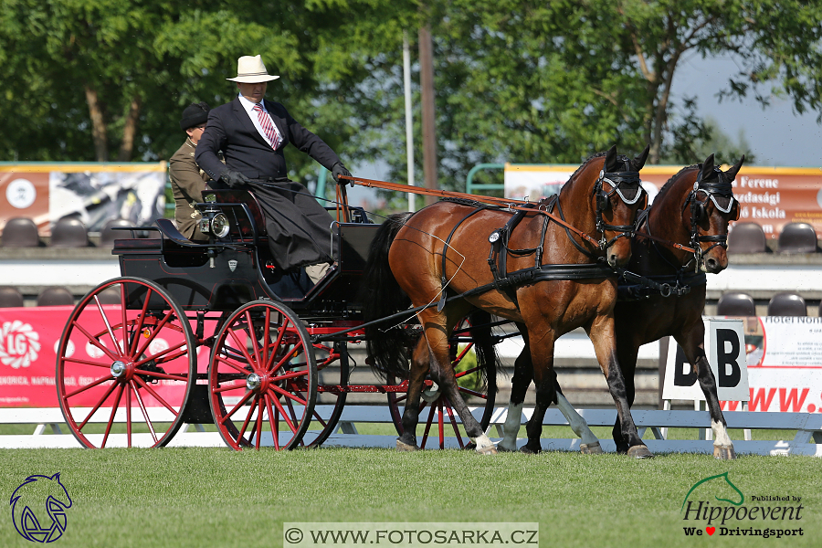 Mezöhegyes 2018 - drezury