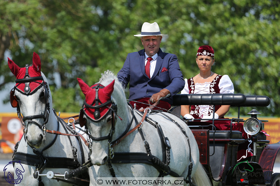 Mezöhegyes 2018 - drezury