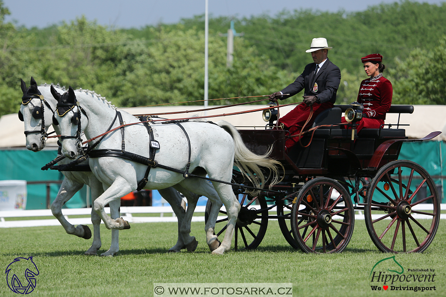 Mezöhegyes 2018 - drezury