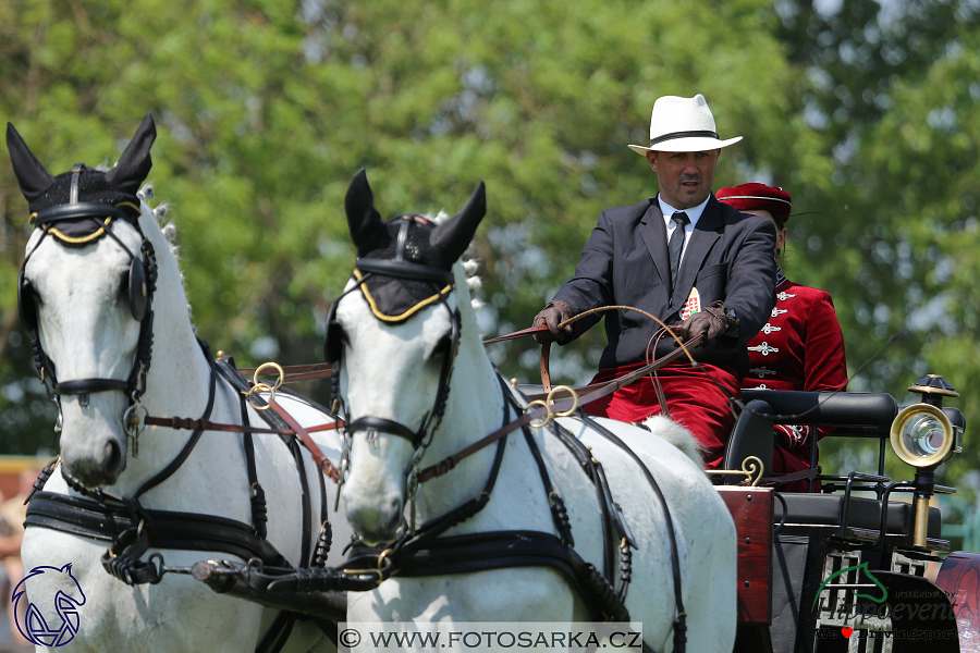 Mezöhegyes 2018 - drezury