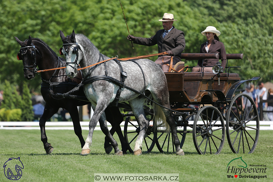Mezöhegyes 2018 - drezury