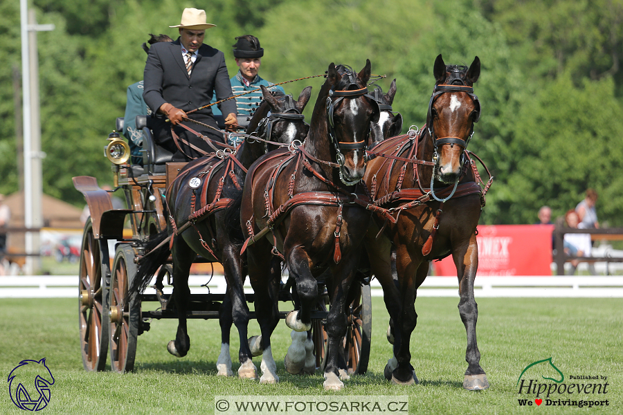 Mezöhegyes 2018 - drezury