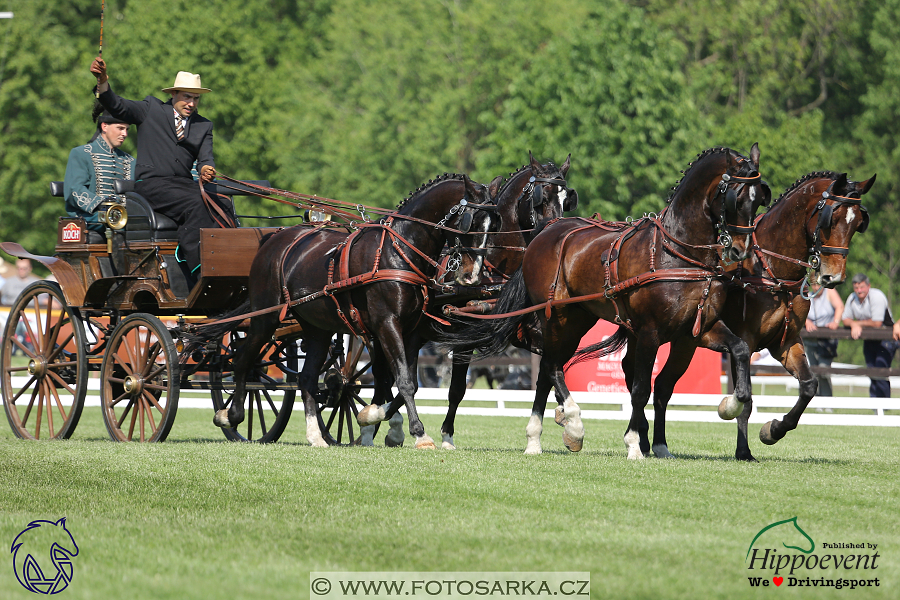 Mezöhegyes 2018 - drezury