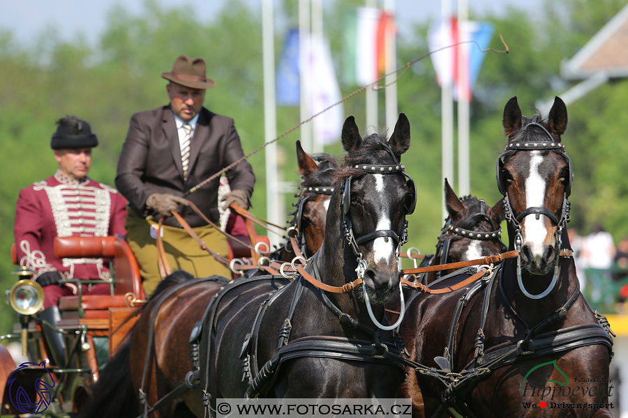 Mezöhegyes 2018 - drezury