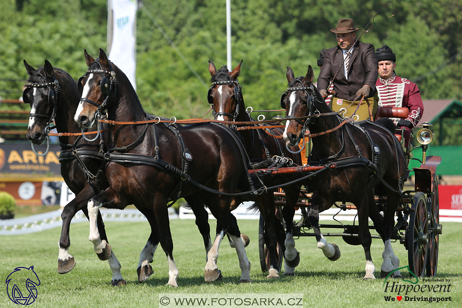 Mezöhegyes 2018 - drezury