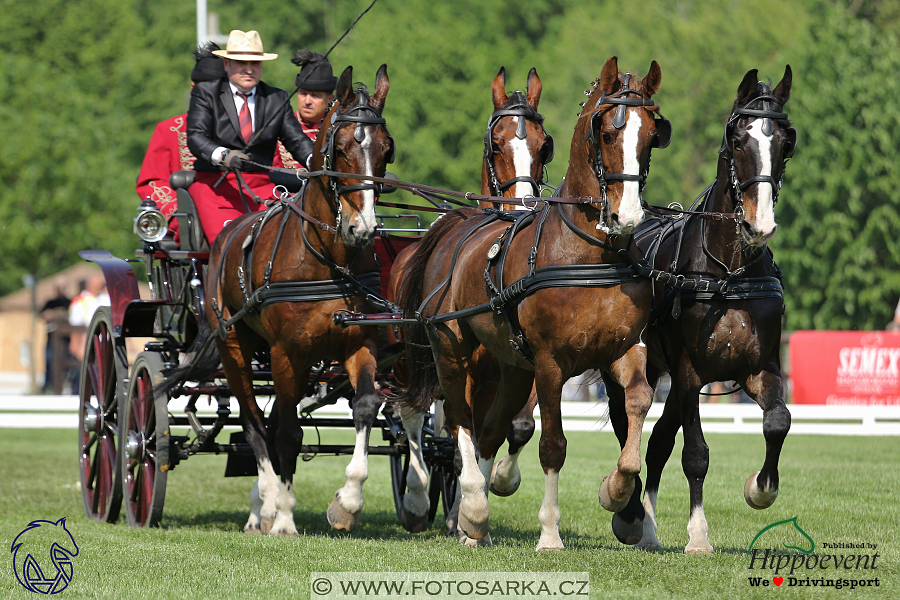 Mezöhegyes 2018 - drezury