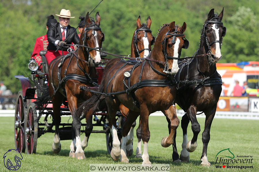 Mezöhegyes 2018 - drezury