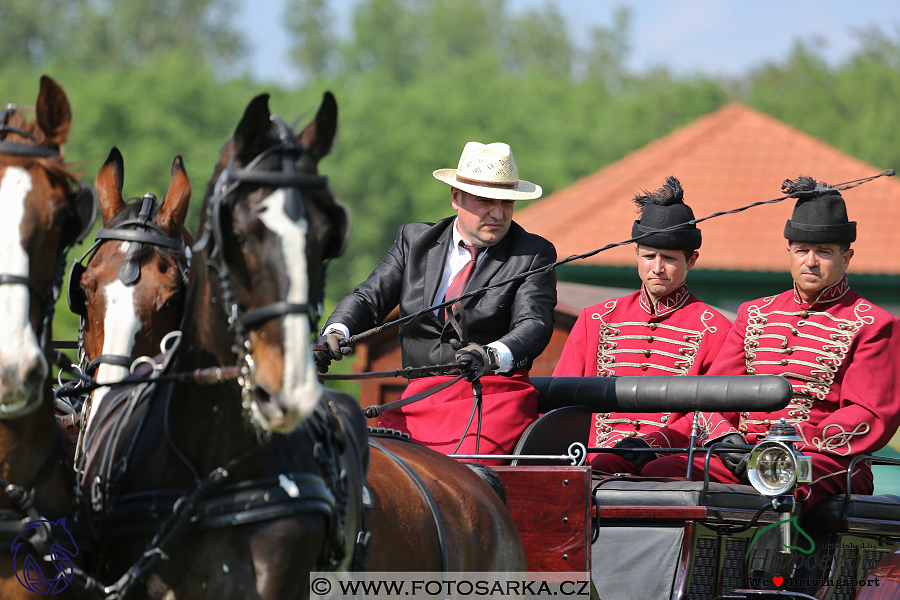 Mezöhegyes 2018 - drezury