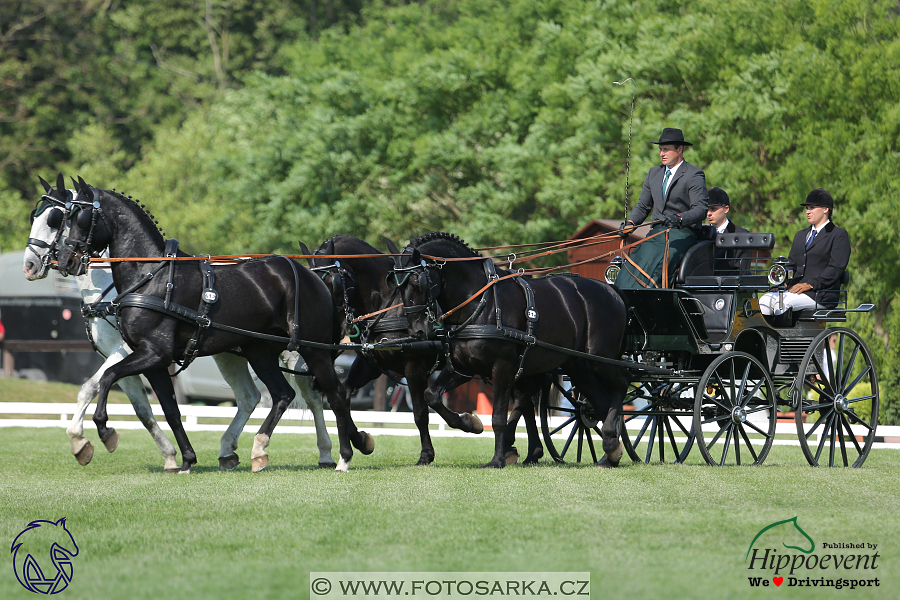 Mezöhegyes 2018 - drezury