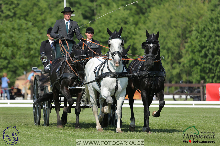 Mezöhegyes 2018 - drezury