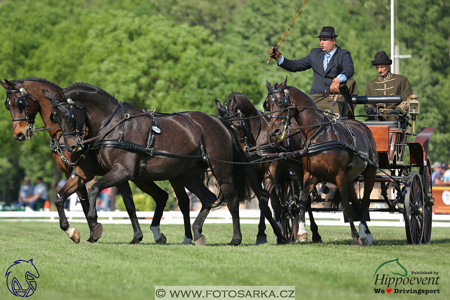Mezöhegyes 2018 - drezury