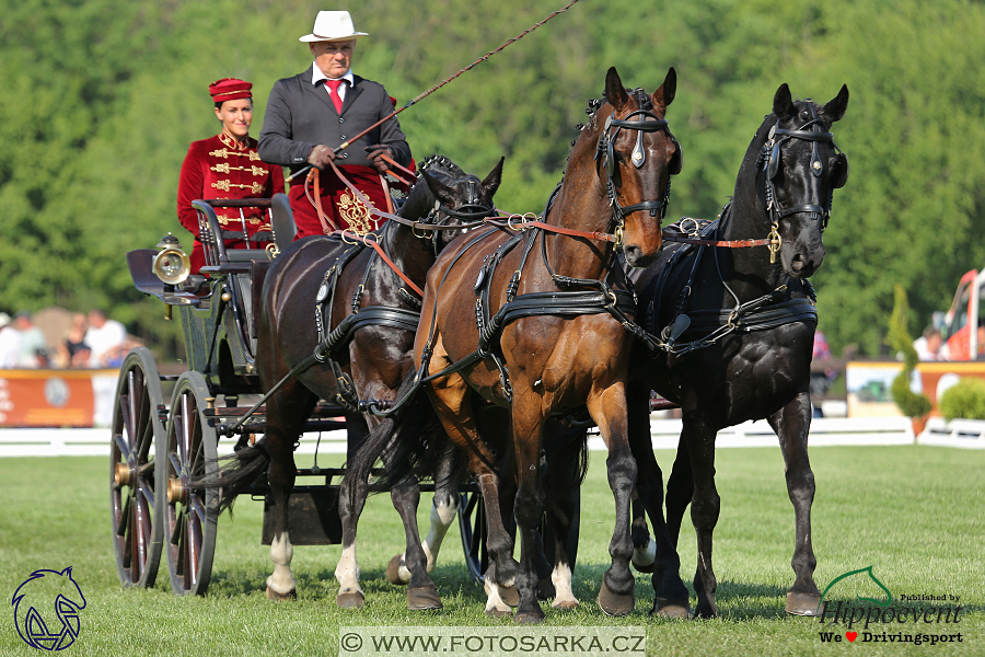 Mezöhegyes 2018 - drezury