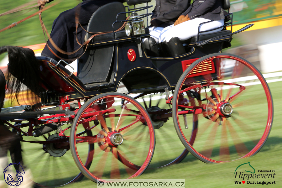 Mezöhegyes 2018 - drezury