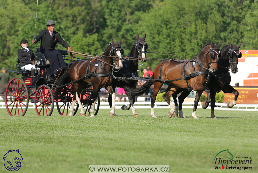 Mezöhegyes 2018 - drezury