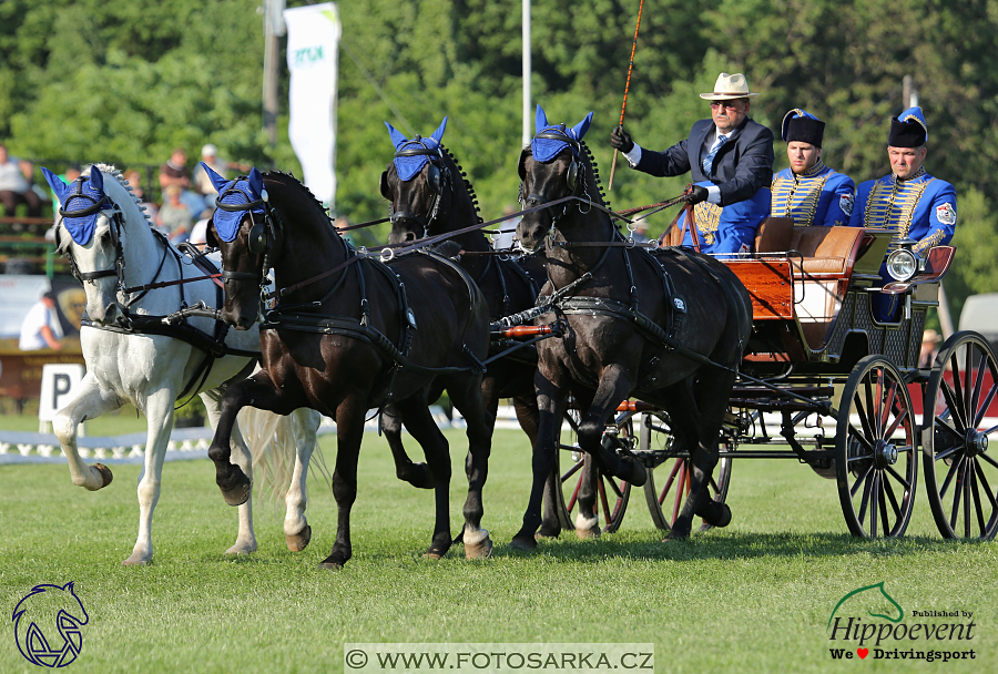 Mezöhegyes 2018 - drezury