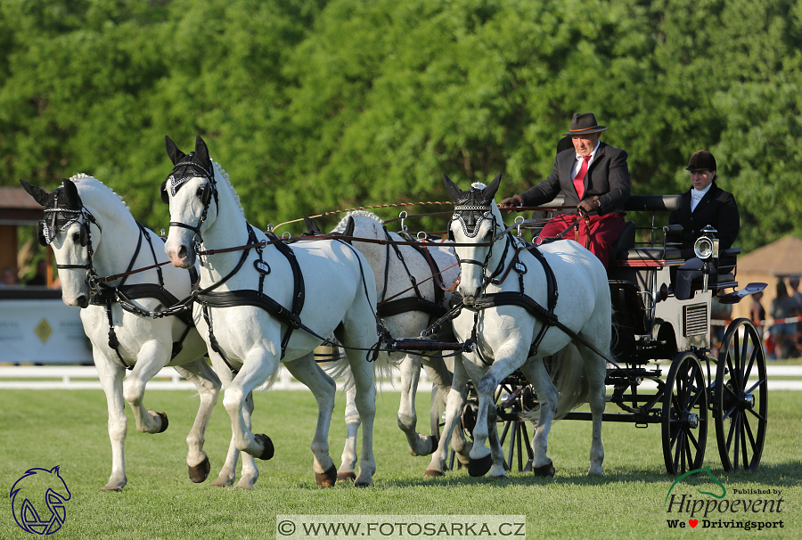 Mezöhegyes 2018 - drezury