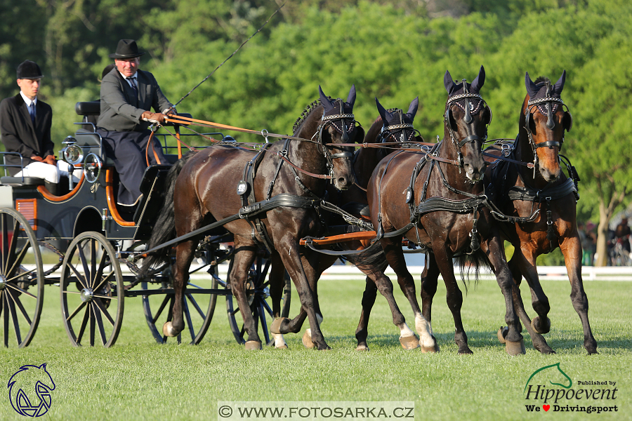 Mezöhegyes 2018 - drezury