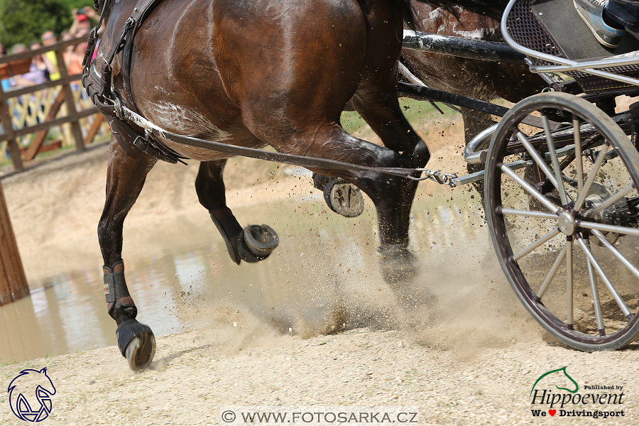Mezöhegyes 2018 - maraton