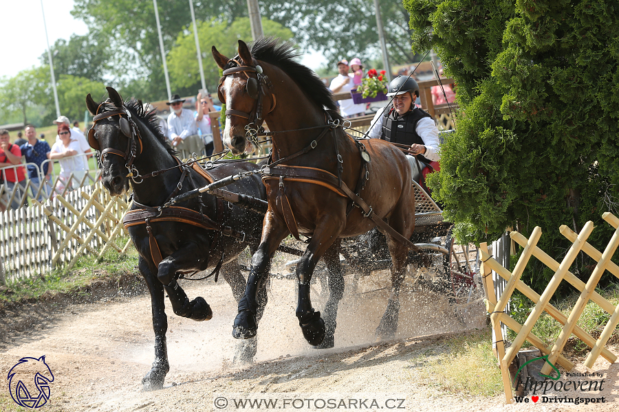 Mezöhegyes 2018 - maraton