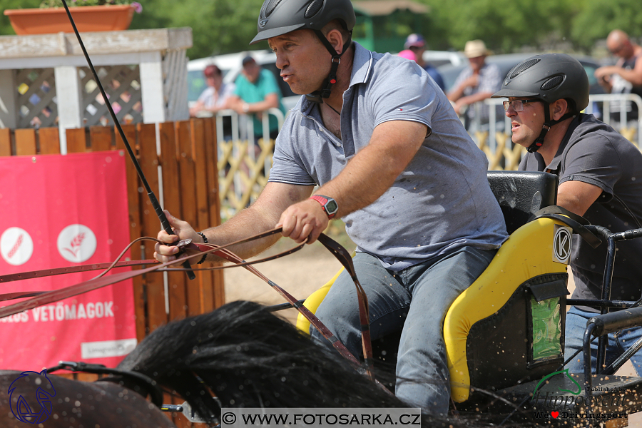 Mezöhegyes 2018 - maraton