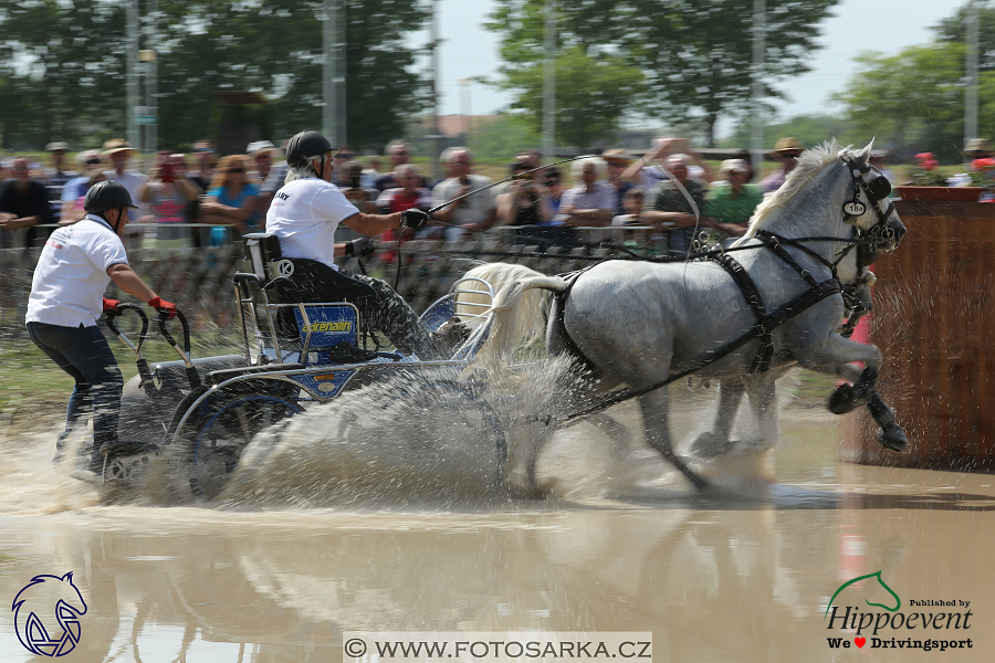 Mezöhegyes 2018 - maraton