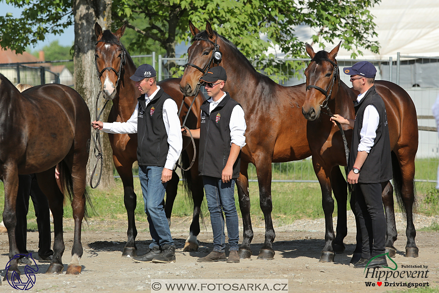Mezöhegyes 2018 - veterinární přejímka