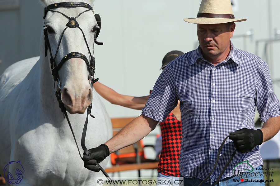 Mezöhegyes 2018 - veterinární přejímka