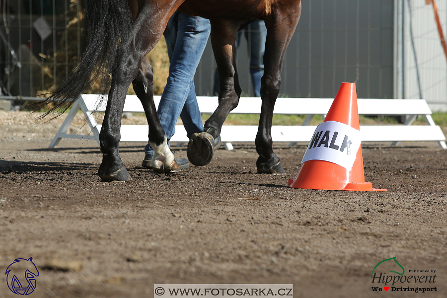Mezöhegyes 2018 - veterinární přejímka