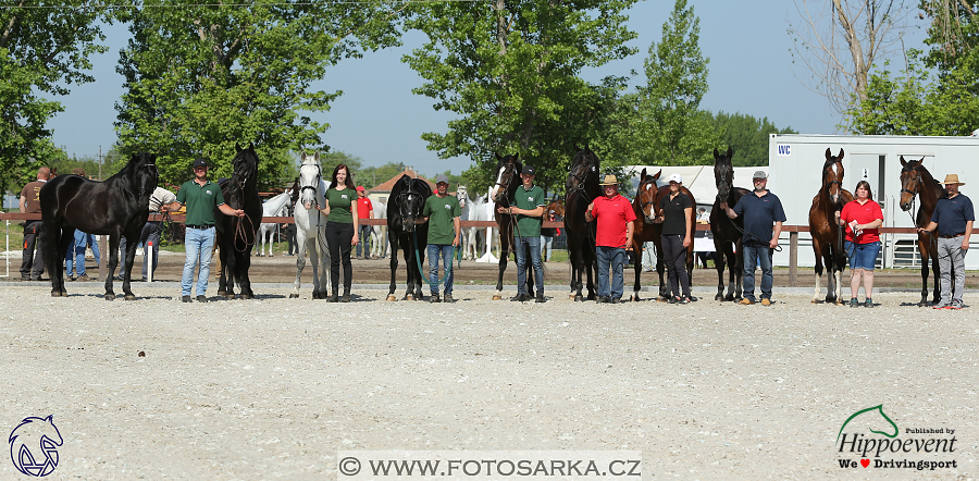 Mezöhegyes 2018 - veterinární přejímka