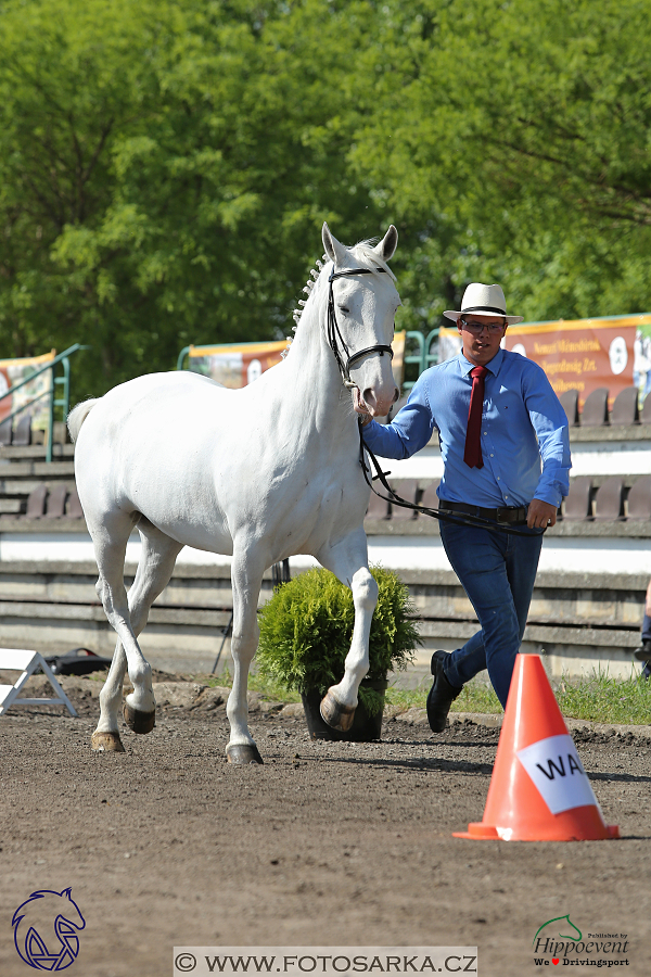 Mezöhegyes 2018 - veterinární přejímka