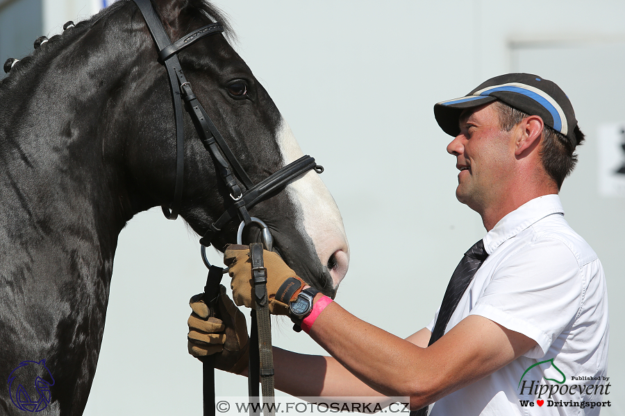 Mezöhegyes 2018 - veterinární přejímka