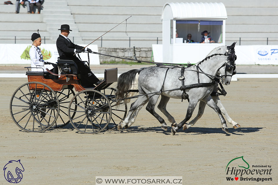 MS 2 Lipica 2017 - drezury