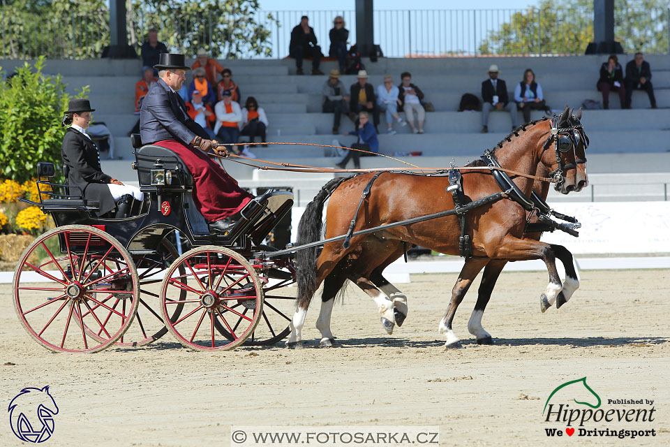 MS 2 Lipica 2017 - drezury