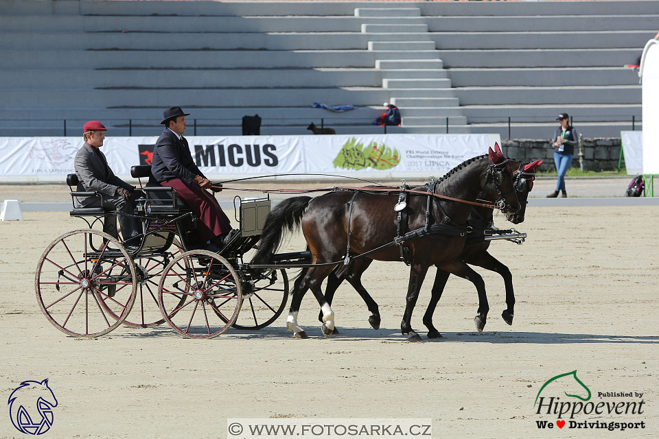 MS 2 Lipica 2017 - drezury