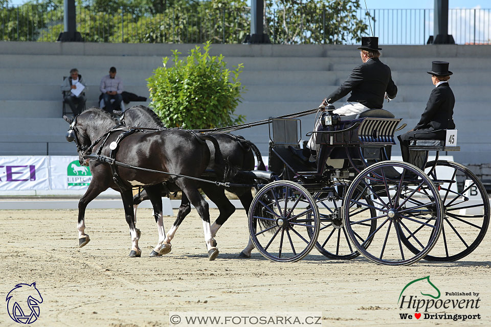 MS 2 Lipica 2017 - drezury