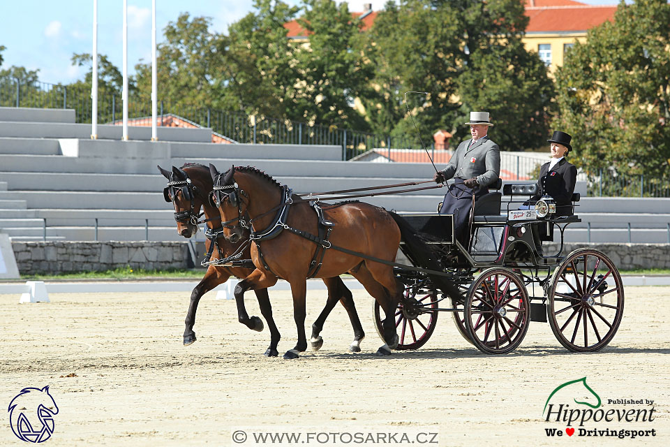 MS 2 Lipica 2017 - drezury