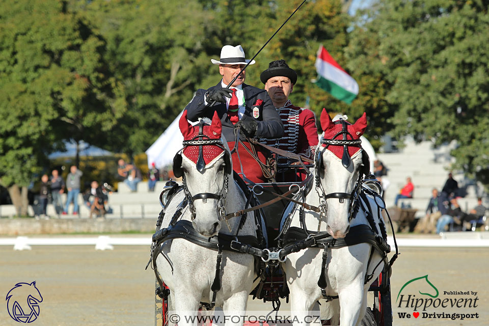 MS 2 Lipica 2017 - drezury