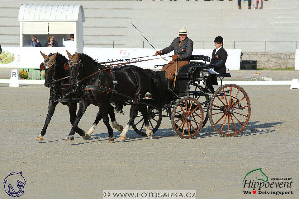 MS 2 Lipica 2017 - drezury