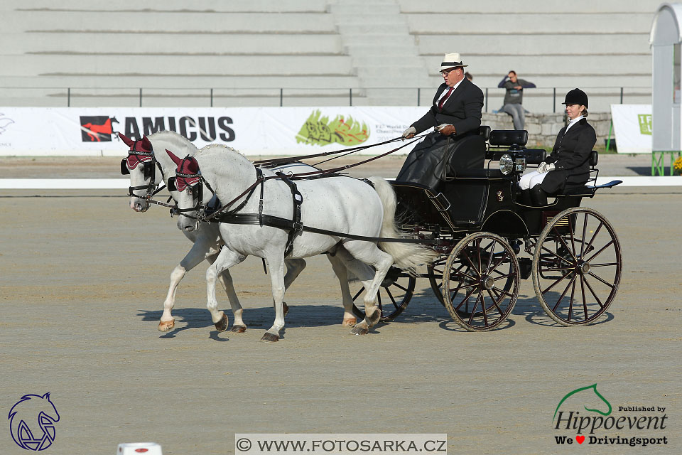 MS 2 Lipica 2017 - drezury