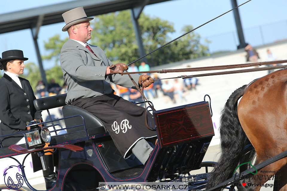 MS 2 Lipica 2017 - drezury