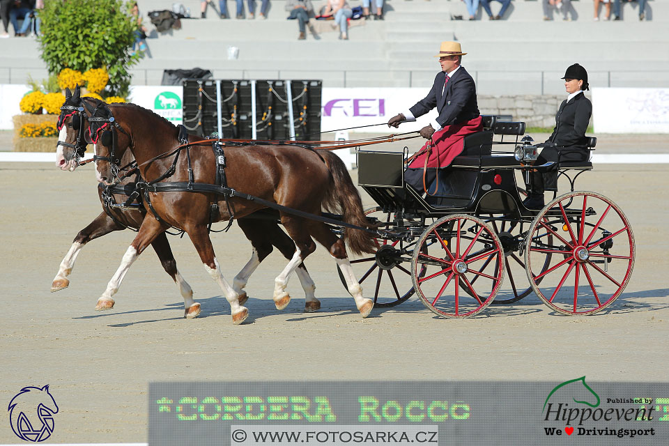 MS 2 Lipica 2017 - drezury