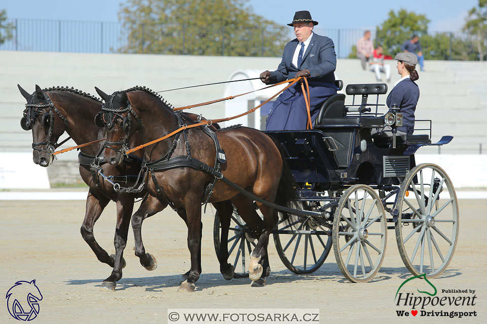 MS 2 Lipica 2017 - drezury