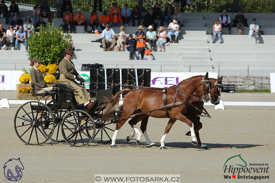 MS 2 Lipica 2017 - drezury