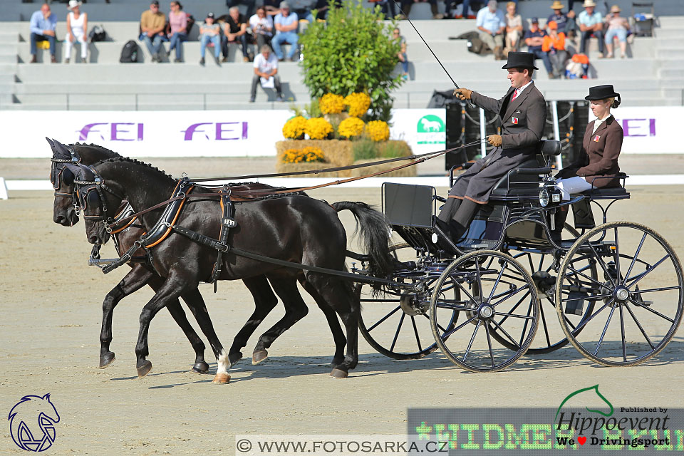 MS 2 Lipica 2017 - drezury