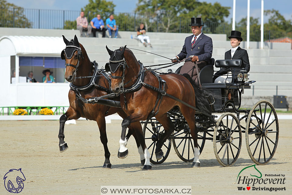 MS 2 Lipica 2017 - drezury