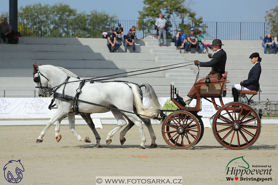 MS 2 Lipica 2017 - drezury