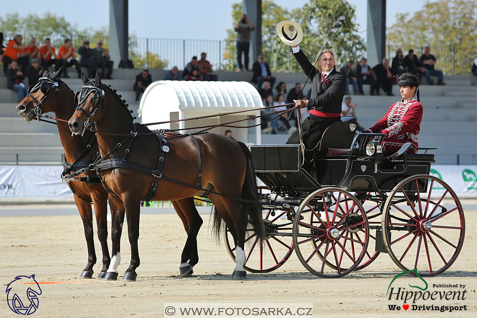 MS 2 Lipica 2017 - drezury