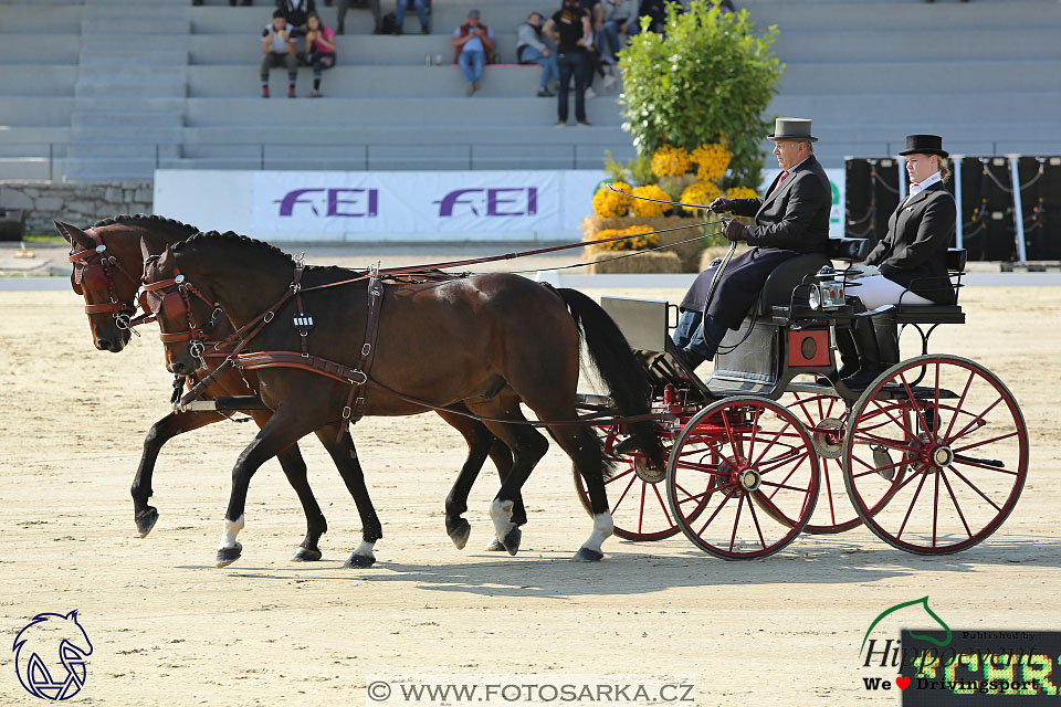 MS 2 Lipica 2017 - drezury