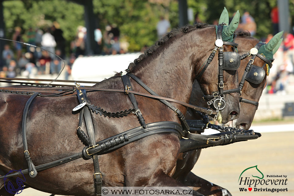 MS 2 Lipica 2017 - drezury