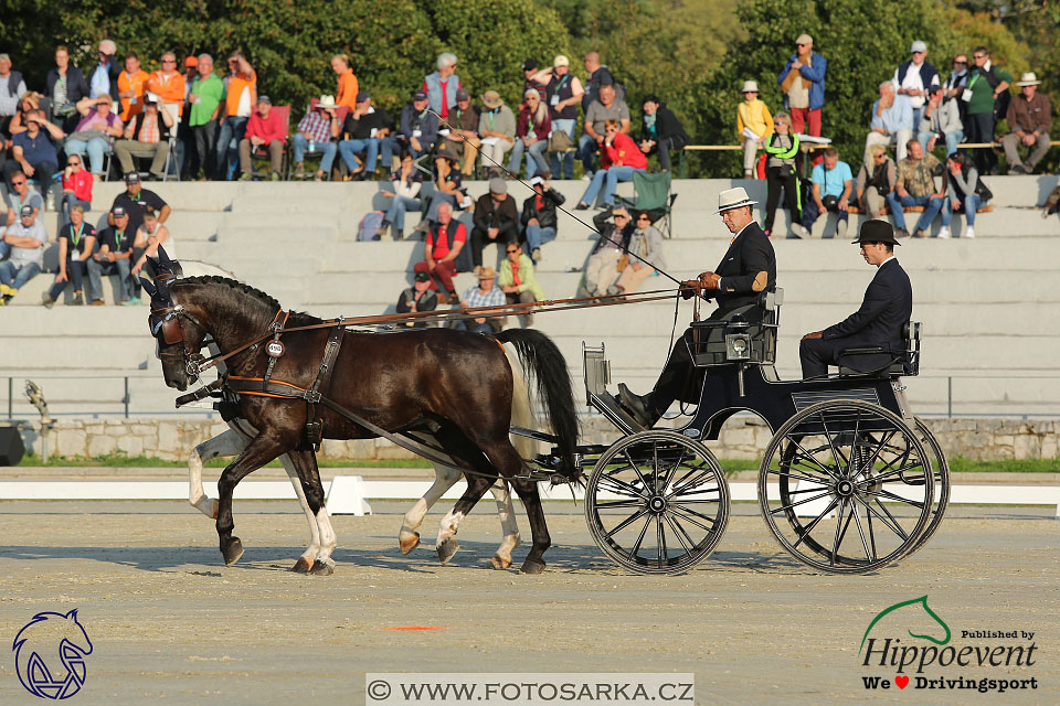 MS 2 Lipica 2017 - drezury